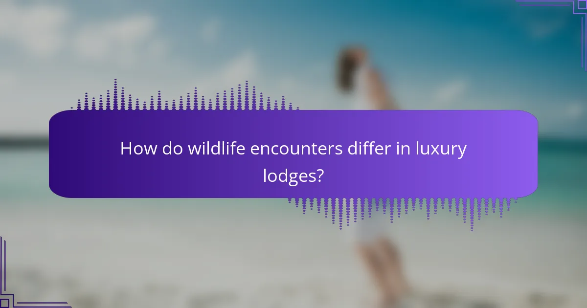 How do wildlife encounters differ in luxury lodges?