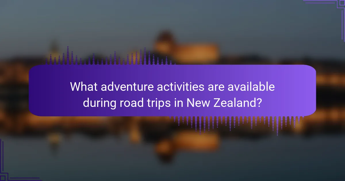What adventure activities are available during road trips in New Zealand?