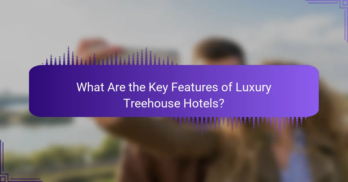 What Are the Key Features of Luxury Treehouse Hotels?