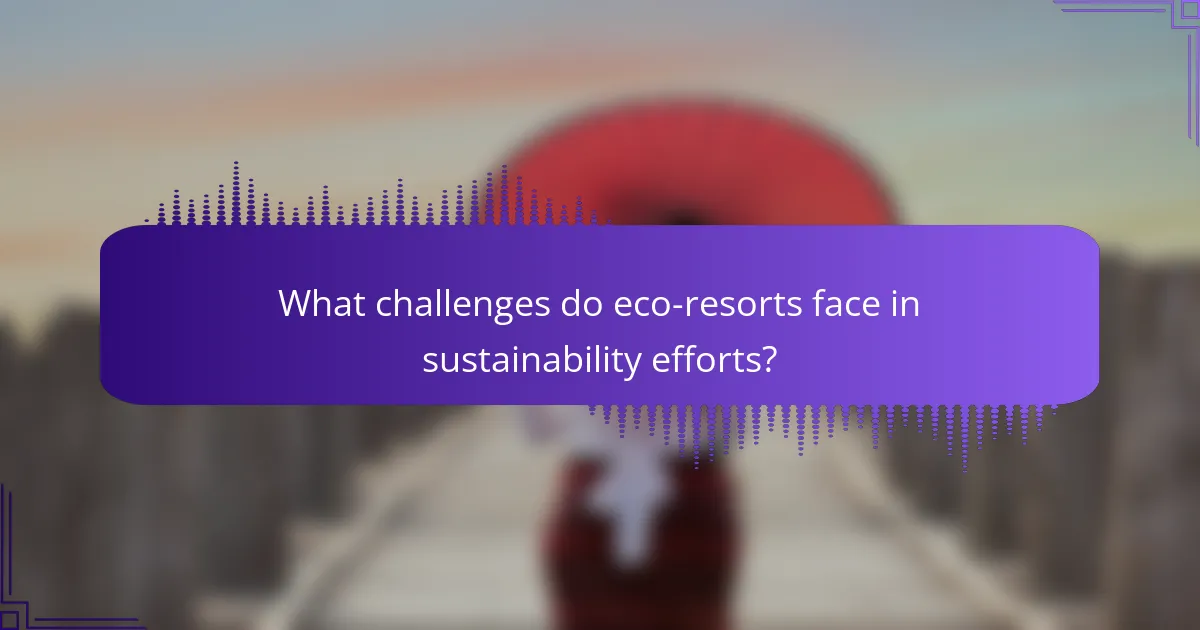 What challenges do eco-resorts face in sustainability efforts?