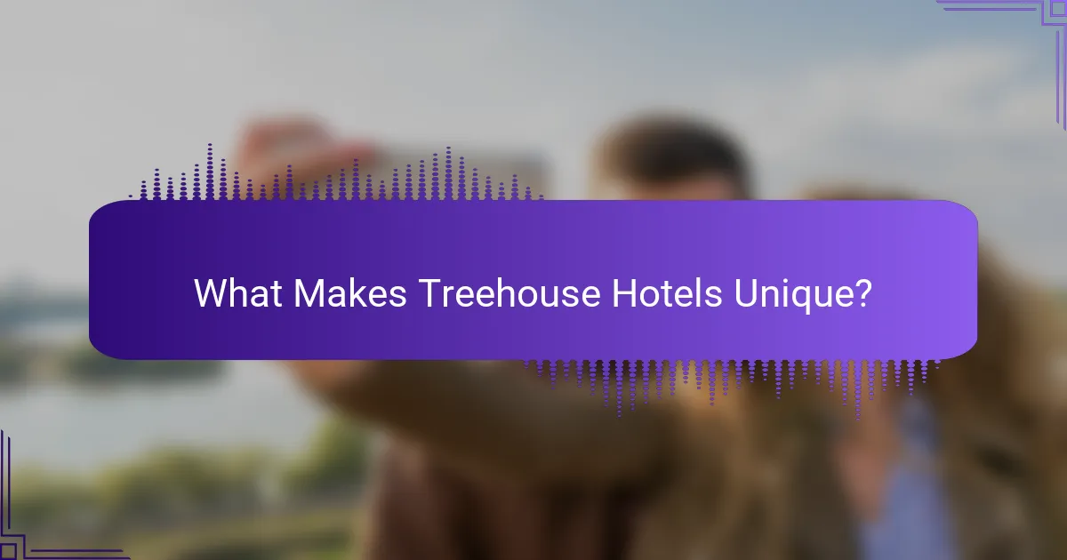 What Makes Treehouse Hotels Unique?