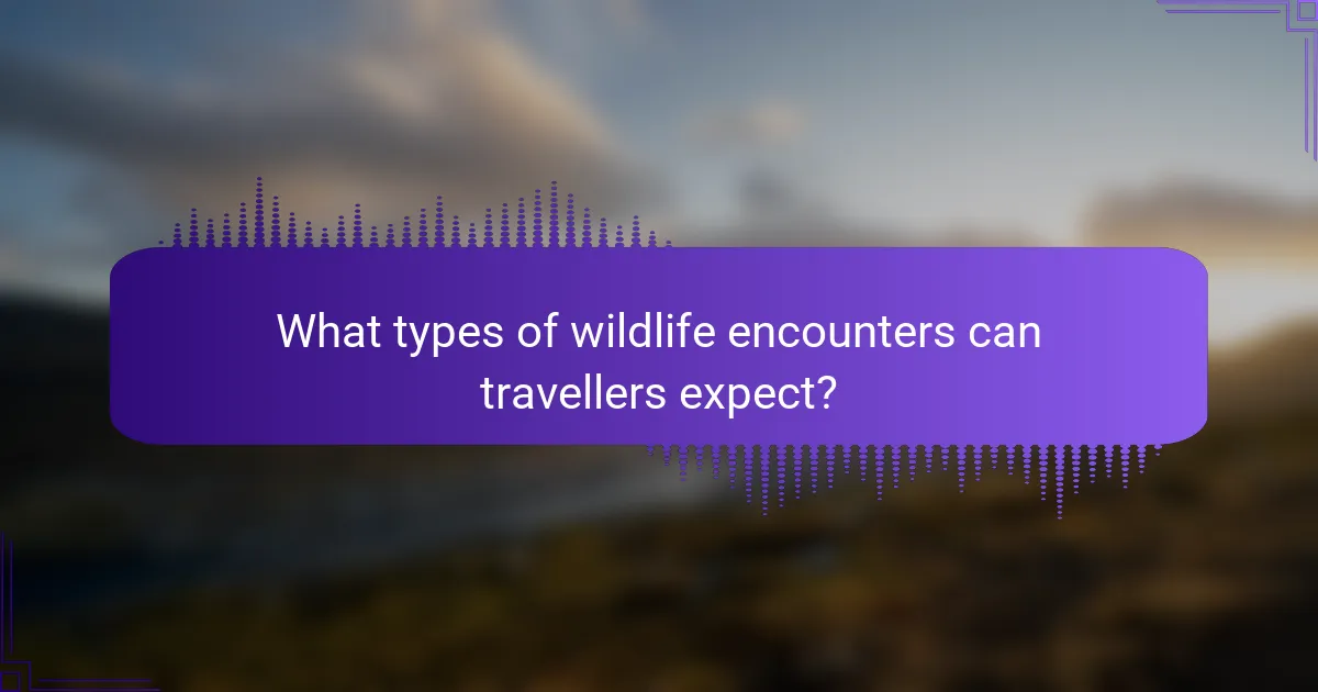 What types of wildlife encounters can travellers expect?