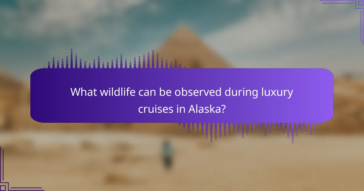 What wildlife can be observed during luxury cruises in Alaska?